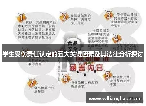 学生受伤责任认定的五大关键因素及其法律分析探讨 学生受伤责任认定的五大关键因素及其法律分析探讨