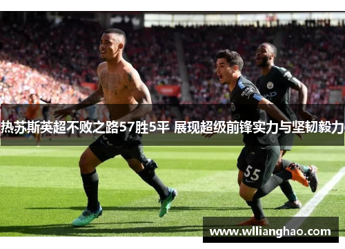 热苏斯英超不败之路57胜5平 展现超级前锋实力与坚韧毅力 热苏斯英超不败之路57胜5平 展现超级前锋实力与坚韧毅力