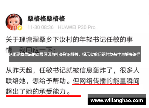 赵鹏现象背后的深层原因与社会影响解析:揭示欠薪问题的复杂性与解决路径 赵鹏现象背后的深层原因与社会影响解析:揭示欠薪问题的复杂性与解决路径
