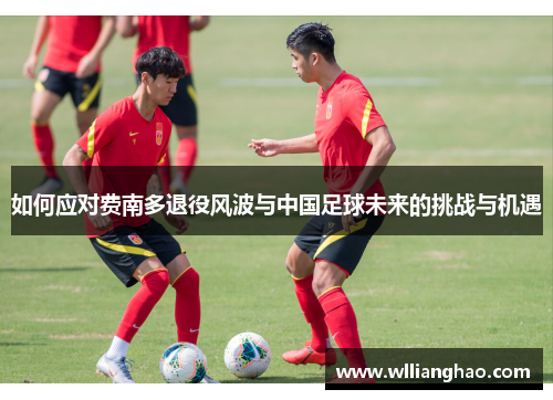 如何应对费南多退役风波与中国足球未来的挑战与机遇 如何应对费南多退役风波与中国足球未来的挑战与机遇