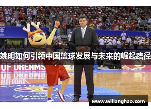 姚明如何引领中国篮球发展与未来的崛起路径